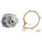 Aisin Nissan 240Z 73-70/260Z 75-74/280Z 78-75/ Water Pump, Wpn013 WPN013 - alternate 2